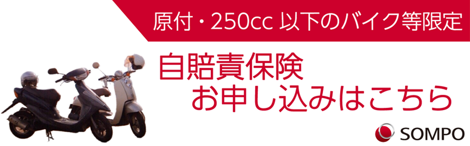 i自賠　インターネットで手続き完結できるのはこのサイト！　損保ジャパン公式　原付、250cc以下のバイク限定自賠責保険手続きサイト